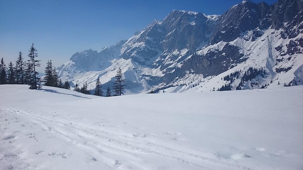Appartmenthaus Hochkoenig Mühlbach am Hochkönig Екстериор снимка