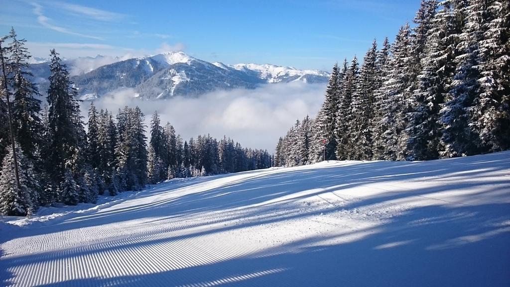 Appartmenthaus Hochkoenig Mühlbach am Hochkönig Екстериор снимка