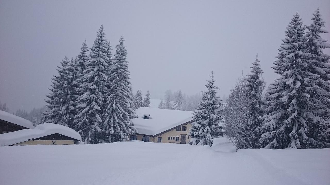 Appartmenthaus Hochkoenig Mühlbach am Hochkönig Екстериор снимка