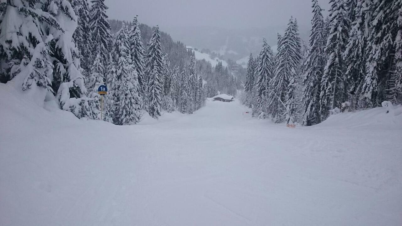 Appartmenthaus Hochkoenig Mühlbach am Hochkönig Екстериор снимка